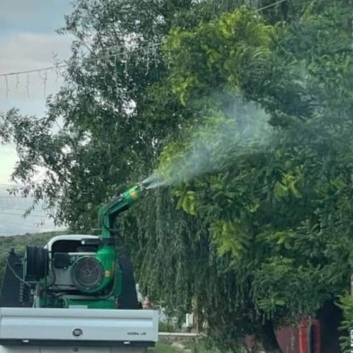 Primarul din Bucecea a efectuat o amplă acțiune de dezinsecție