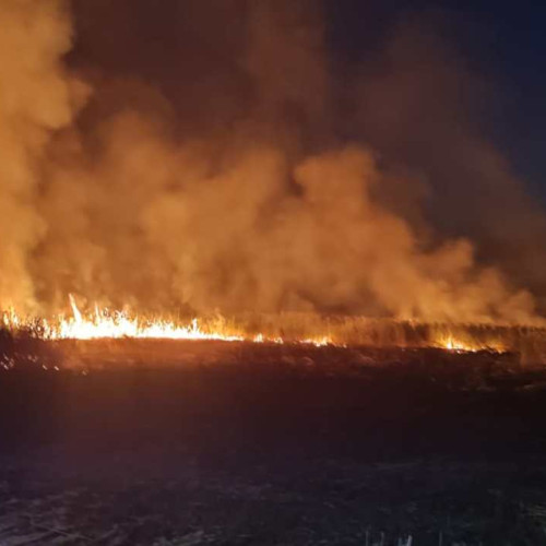 Pompierii au intervenit pentru stingerea a trei incendii de vegetație uscată în județul Botoșani