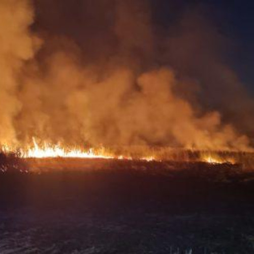 Pompierii s-au luptat cu trei incendii de vegetație uscată în județ