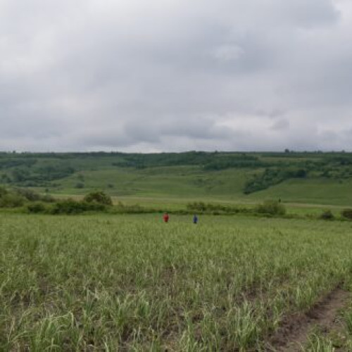 MADR propune un nou registru agricol pentru perioada 2025-2029