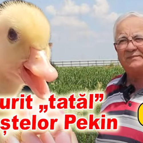 A murit la vârsta de 76 de ani, domn' colonel Ion Iaru