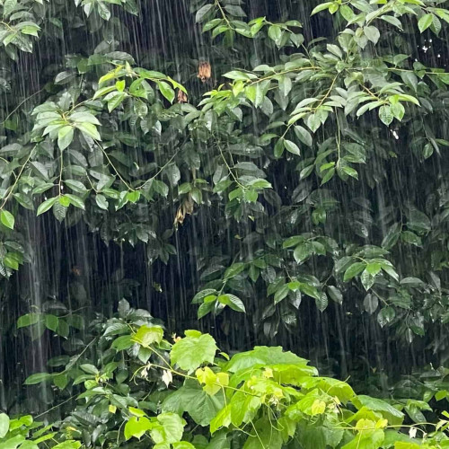 Avertizare meteo: Cod galben în județul Alba