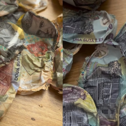 Imagini șocante: bancnote deteriorate găsite într-o sobă