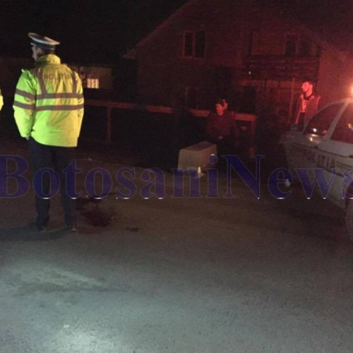 Proces finalizat pentru unul dintre frații bătăuși din Botoșani