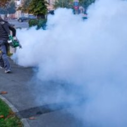 Operațiune de dezinsecție în Brașov: 16-31 iulie