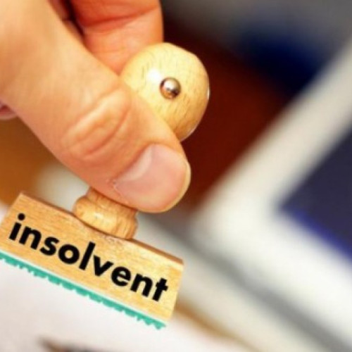 Firma agricolă Prestagrozoot SRL, declarată în insolvență de Tribunalul Botoșani