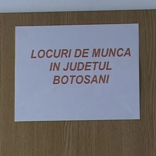 Ofertă de muncă pentru șomerii din Botoșani