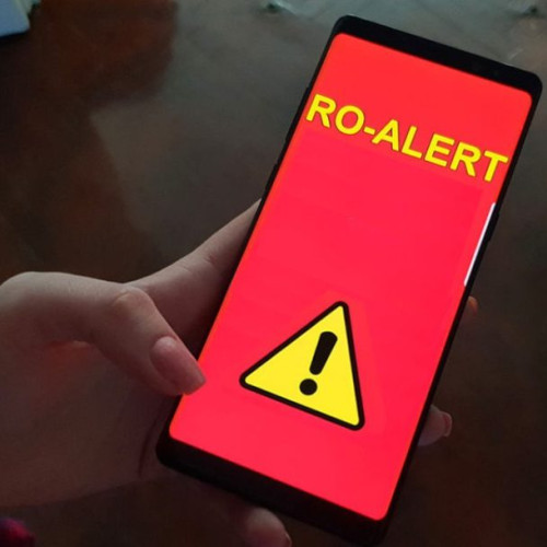 Alarme RO-ALERT pentru prezența urșilor în mai multe județe