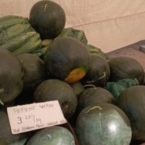 Exportul pepenilor românești în afara Uniunii Europene atinge 1.408 tone în acest an