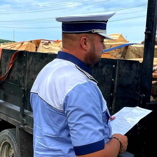 Șofer amendat și rămas fără lemne la Dorohoi