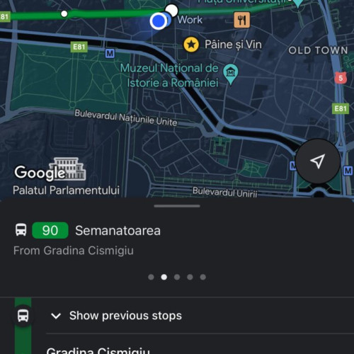 De luni, călătorii pot vedea în timp real gradul de încărcare al mijloacelor de transport în comun în aplicația Google Maps
