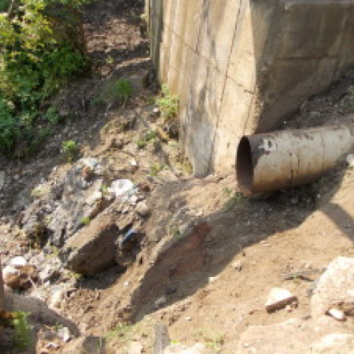 Poluare descoperită în râul Tărlung de jandarmii din Brașov