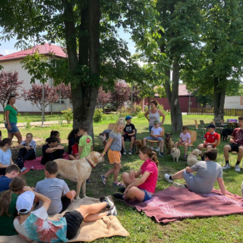 Copii din Bihor și Satu Mare participă la prima tabără de terapie asistată de câini din România
