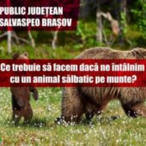 Salvamont Brașov trage un semnal de alarmă: majoritatea turiștilor nu știu cum să reacționeze la întâlnirea cu animalele sălbatice