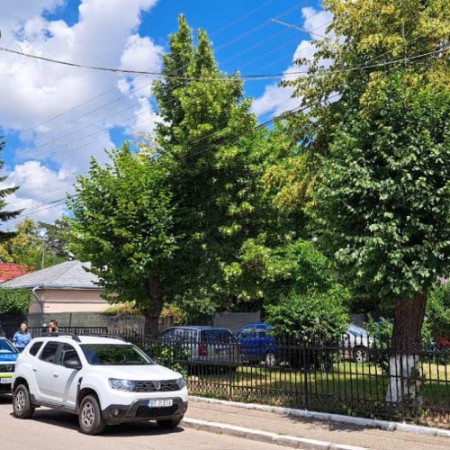 Poliția Botoșani a desfășurat trei acțiuni punctuale în ultimele 24 de ore