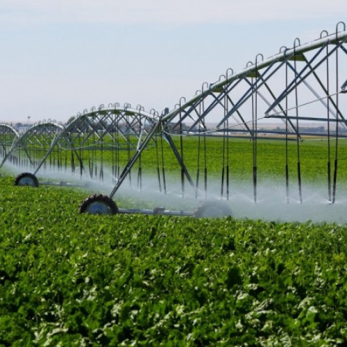 Fermierii români depun peste 350 de proiecte pentru modernizarea irigațiilor