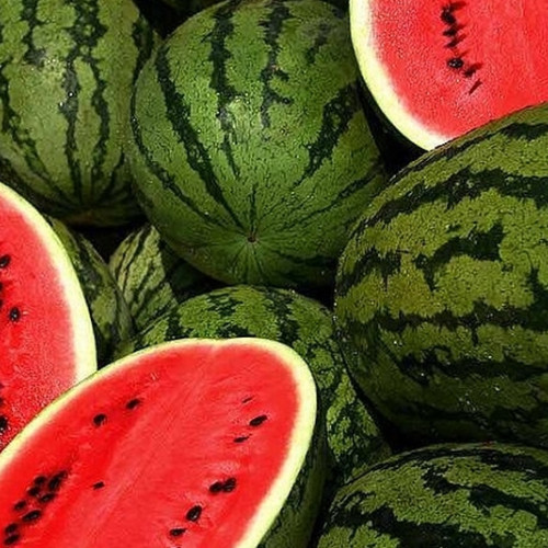 Autoritatea Națională Fitosanitară verifică reziduurile de pesticide în pepenii autohtoni