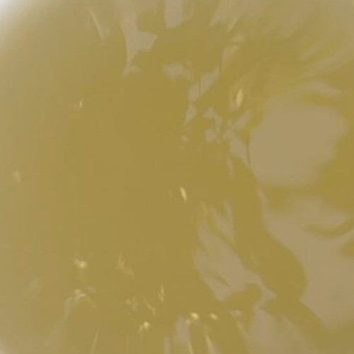 Județul Botoșani afectat grav de caniculă