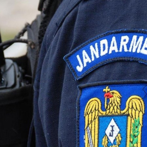 Jandarmeria Bacău caută 40 de noi colegi
