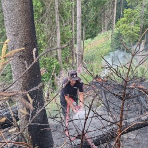Incendiu în fond forestier din Darmoxa, provocat de un trăsnet