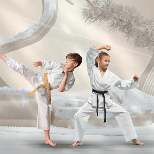 Cupa Dobrogea la karate atrage sute de participanți