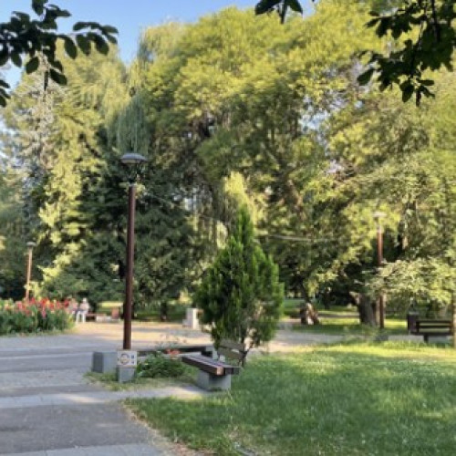 Dezinsecție anunțată pentru întreg domeniul public al municipiului Miercurea-Ciuc