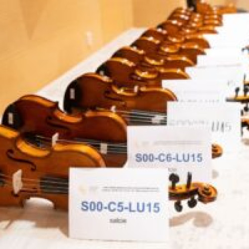 Conferință internațională despre viori la Universitatea Transilvania din Brașov