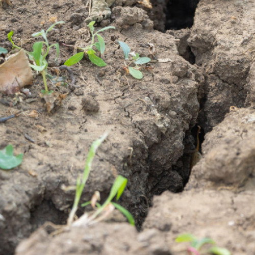 Restricționarea apei în 290 de localități, cele mai afectate fiind în Botoșani, Vaslui, Neamț, Iași și Vrancea