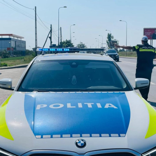 Un botoșănean, amendat și rămas fără încărcătura de lemne