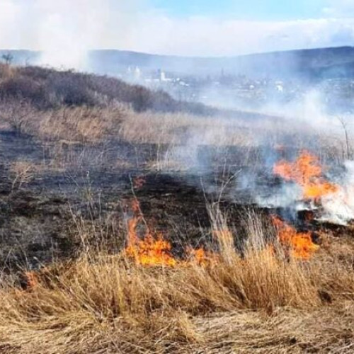 Atenționare pentru fermieri: noi standarde GAEC pentru anul 2024