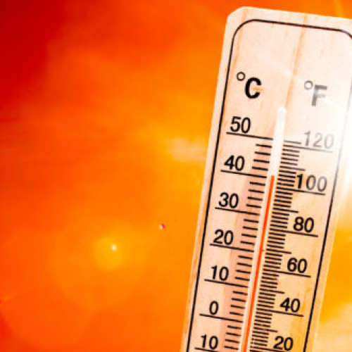 Val de căldură în județul Vaslui: temperaturi extreme de până la 42 de grade