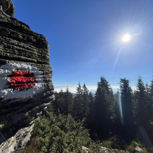 Salvamont Covasna a creat opt trasee tematice pentru iubitorii de natură