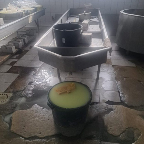 Control ANPC în sectorul lactatelor: sancțiuni drastice