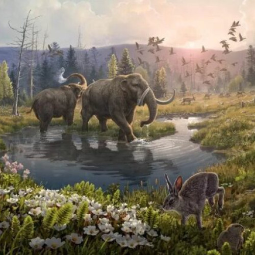 Descoperiri de fragmente osoase de mamut în cadrul cercetărilor din valea Buzăului