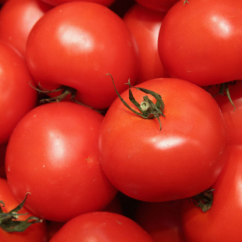 Peste 181 milioane lei pentru sprijinul cultivatorilor de tomate