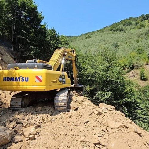 40% din pădurea din zona viitoarei autostrăzi de pe Valea Oltului a fost defrișată