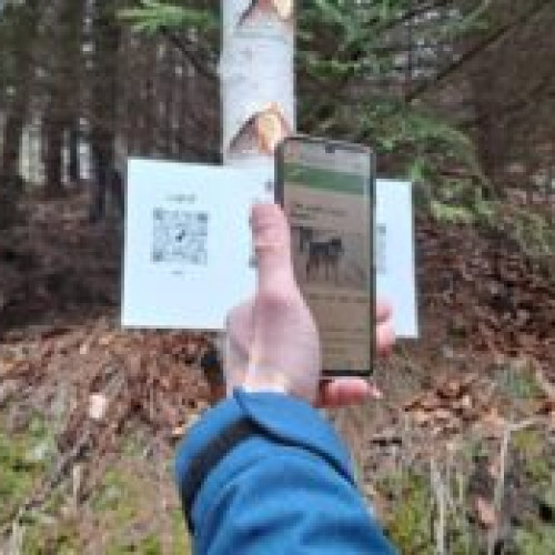 Trasee tematice amenajate pentru promovarea naturii în județ