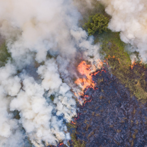 Record de incendii de vegetație în România, conform ANPM