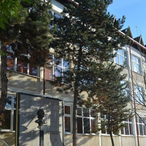 Competitia nationala "Scoala Europeana" a avut loc dupa doi ani de pauza