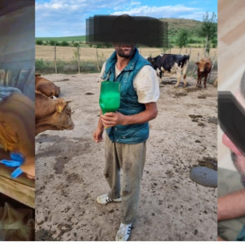 Un bărbat din județul Iași, cercetat pentru muncă forțată asupra minorilor cu dizabilități