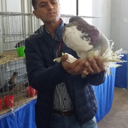 Doliu la Muzeul Județean Botoșani după moartea unui muzeograf respectat