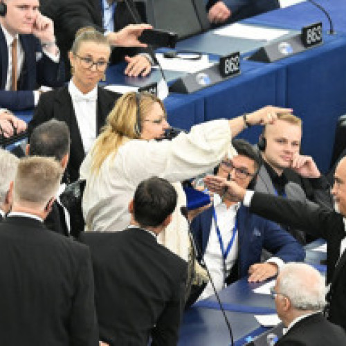 Un tânăr din Suceava condamnat la închisoare cu suspendare pentru dresaj agresiv al câinilor