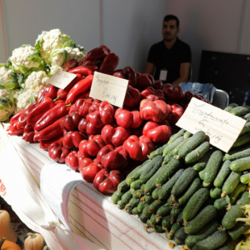 Ministerul Agriculturii avertizează privind teste rapide pentru pesticide