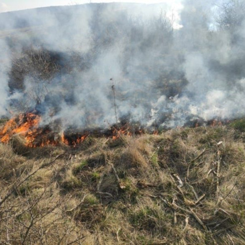 Numărul incendiilor de vegetație a crescut semnificativ în România