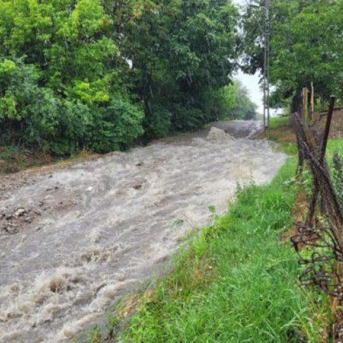Distrugeri pe strada Grigore Antipa din Botoșani din cauza ploilor
