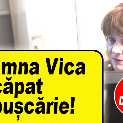 Verdict în cazul Vica: Condamnare cu suspendare pentru delapidare