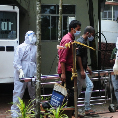 Alertă sanitară în Kerala după decesul unui băiat din cauza virusului Nipah