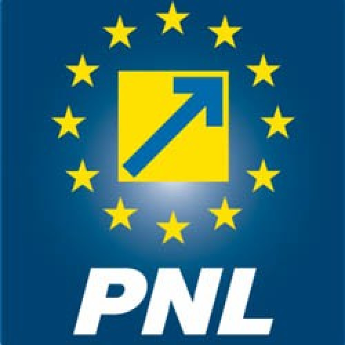 Conducerea PNL se confruntă cu dileme privind dizolvarea organizațiilor care nu au performat la alegeri