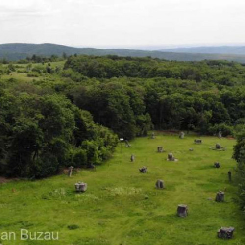 Programul &quot;Weekenduri la Magura&quot; a fost anulat din cauza prezenței unui urs