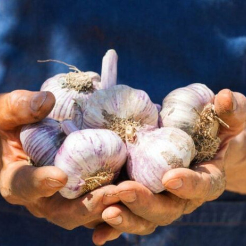 Fonduri noi pentru agricultorii români afectati de produsele ucrainene